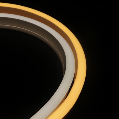ERP Silicone Neon LED Strip